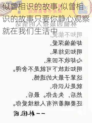 似曾相识的故事,似曾相识的故事只要你静心观察就在我们生活中