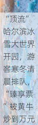 “顶流”哈尔滨冰雪大世界开园，游客寒冬清晨排队，“臻享票”被黄牛炒到万元