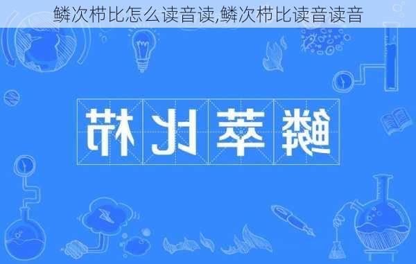 鳞次栉比怎么读音读,鳞次栉比读音读音