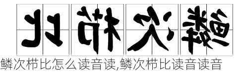 鳞次栉比怎么读音读,鳞次栉比读音读音