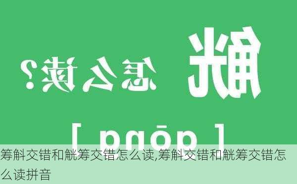 筹斛交错和觥筹交错怎么读,筹斛交错和觥筹交错怎么读拼音