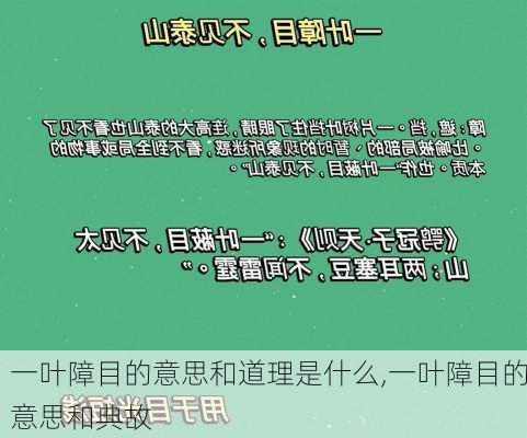 一叶障目的意思和道理是什么,一叶障目的意思和典故