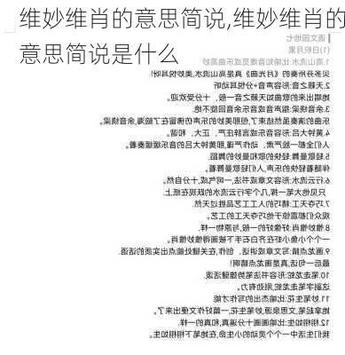 维妙维肖的意思简说,维妙维肖的意思简说是什么