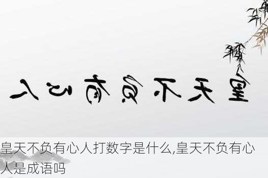 皇天不负有心人打数字是什么,皇天不负有心人是成语吗