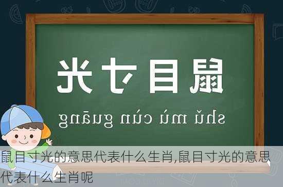 鼠目寸光的意思代表什么生肖,鼠目寸光的意思代表什么生肖呢