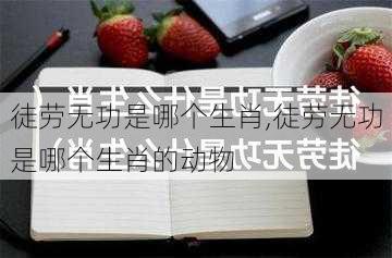 徒劳无功是哪个生肖,徒劳无功是哪个生肖的动物