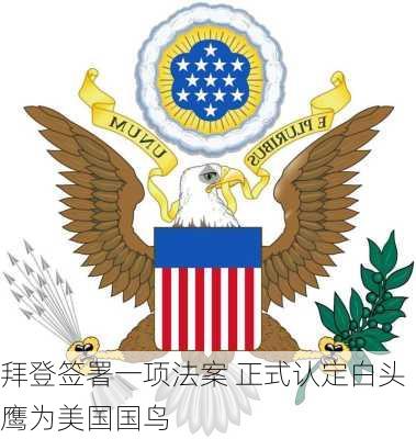 拜登签署一项法案 正式认定白头鹰为美国国鸟