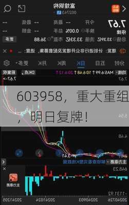 603958，重大重组，明日复牌！