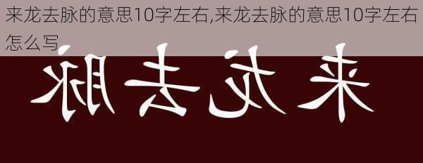 来龙去脉的意思10字左右,来龙去脉的意思10字左右怎么写