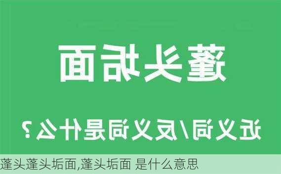 蓬头蓬头垢面,蓬头垢面 是什么意思