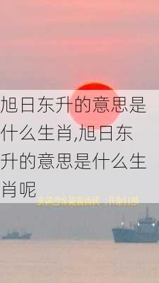 旭日东升的意思是什么生肖,旭日东升的意思是什么生肖呢