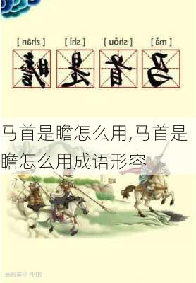 马首是瞻怎么用,马首是瞻怎么用成语形容