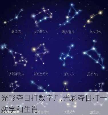 光彩夺目打数字几,光彩夺目打一数字和生肖