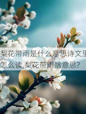 梨花带雨是什么意思诗文里怎么读,梨花带雨啥意思?