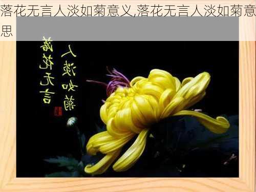 落花无言人淡如菊意义,落花无言人淡如菊意思