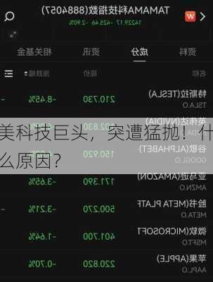 美科技巨头，突遭猛抛！什么原因？