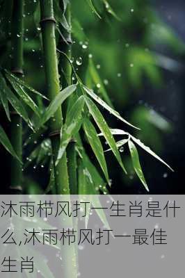 沐雨栉风打一生肖是什么,沐雨栉风打一最佳生肖