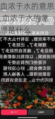 血浓于水的意思,血浓于水的意思是什么